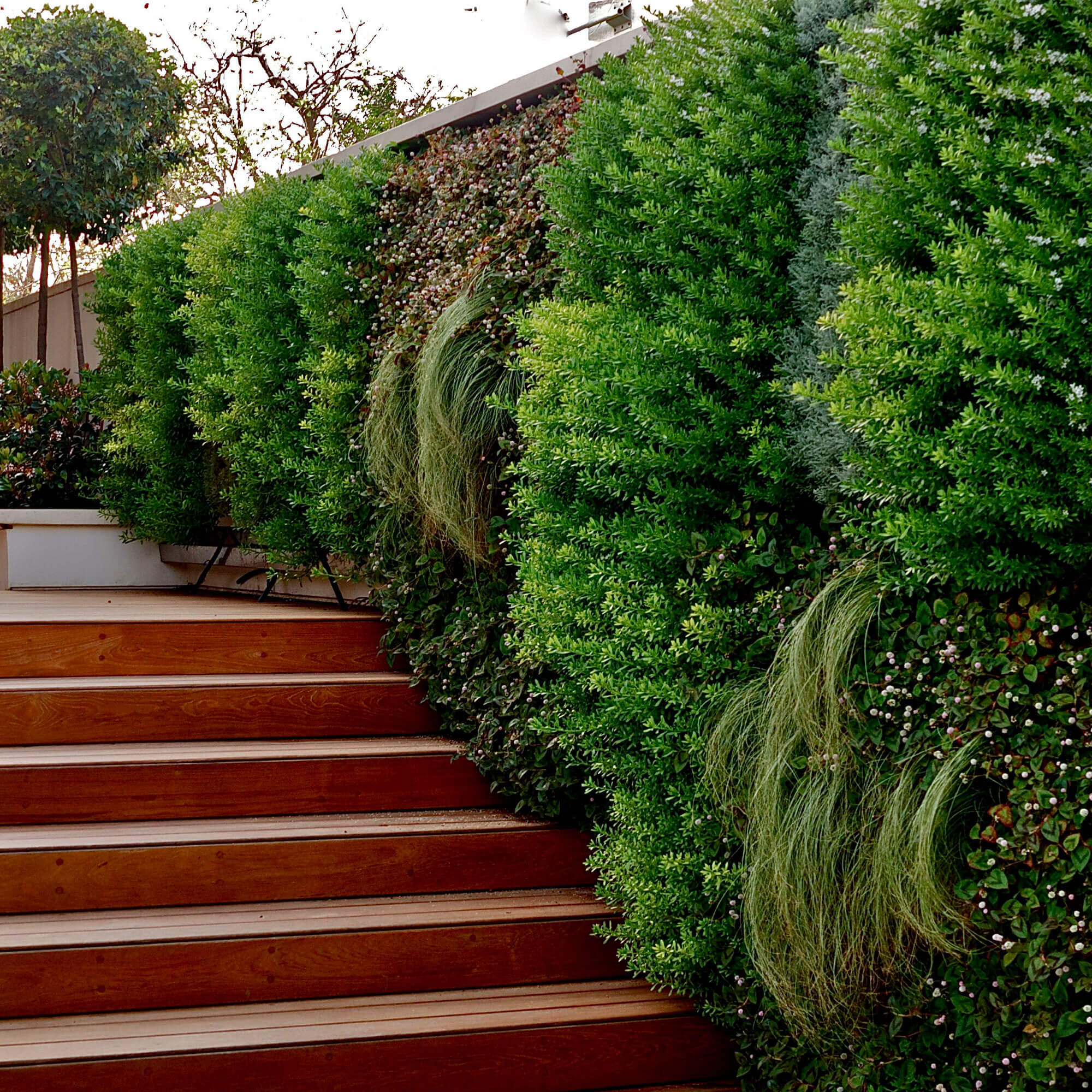 Green Walls For Urban Spaces